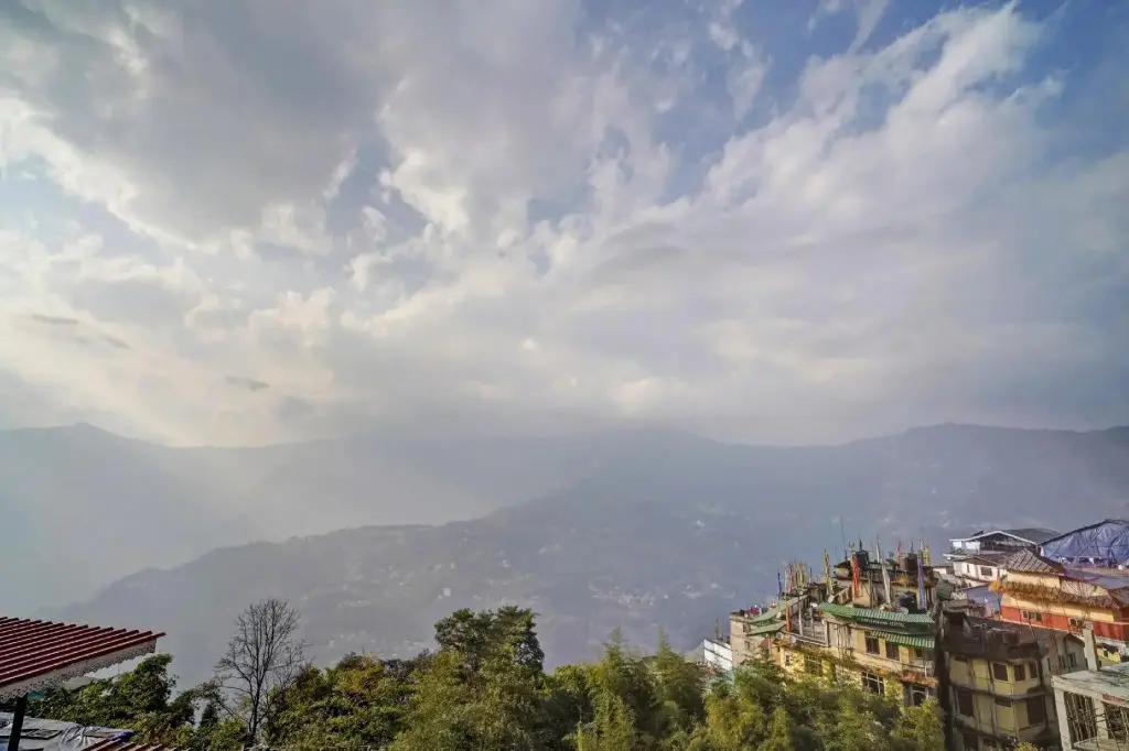 Гангток: Oyo 702299 Gangtok Inn