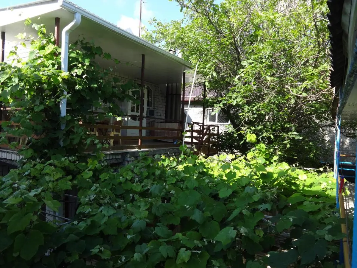 Витязево: Guest house U ivanycha
