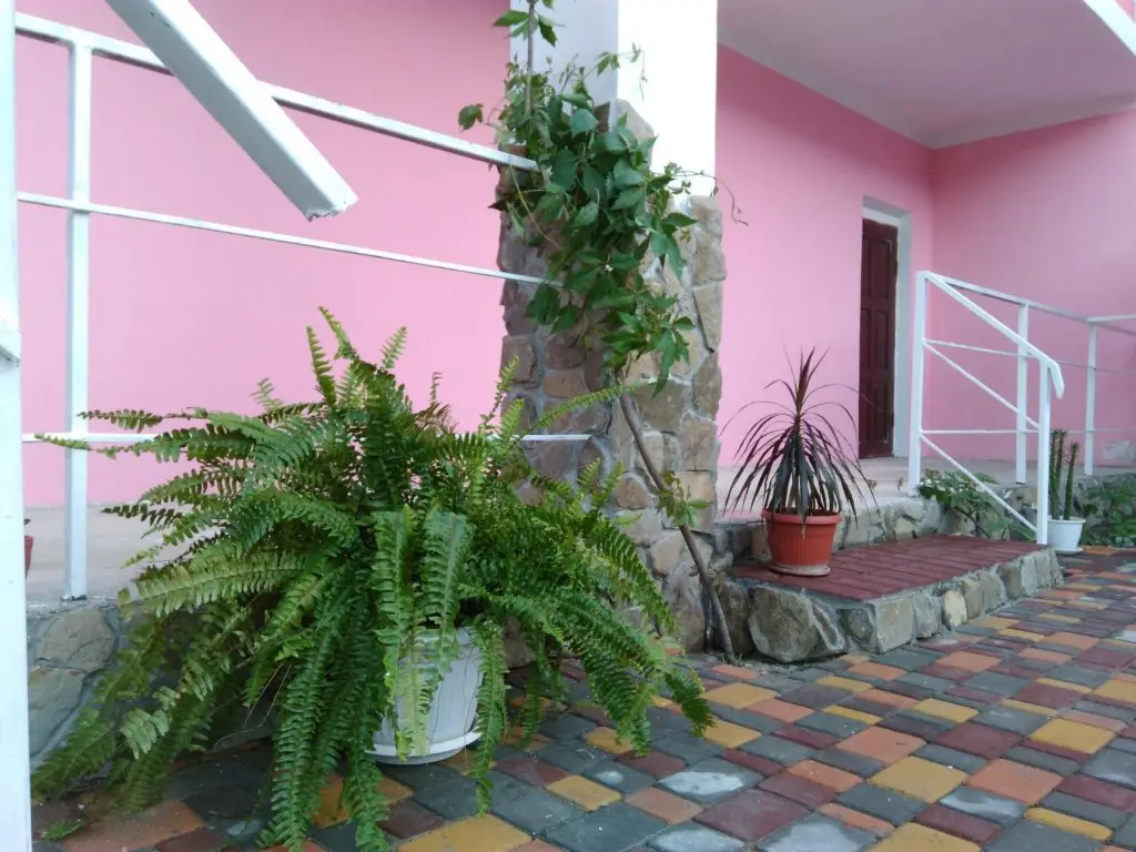 Прибрежное (городской округ Судак): Guest house Flamingo