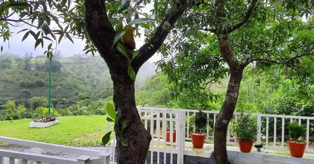 Куттикканам: Willow House Vagamon