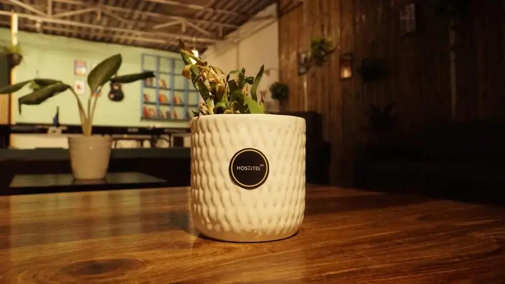 HOSHTEL99 - STAY, COWORK & CAFE - A Backpacker Hostel — фото 1