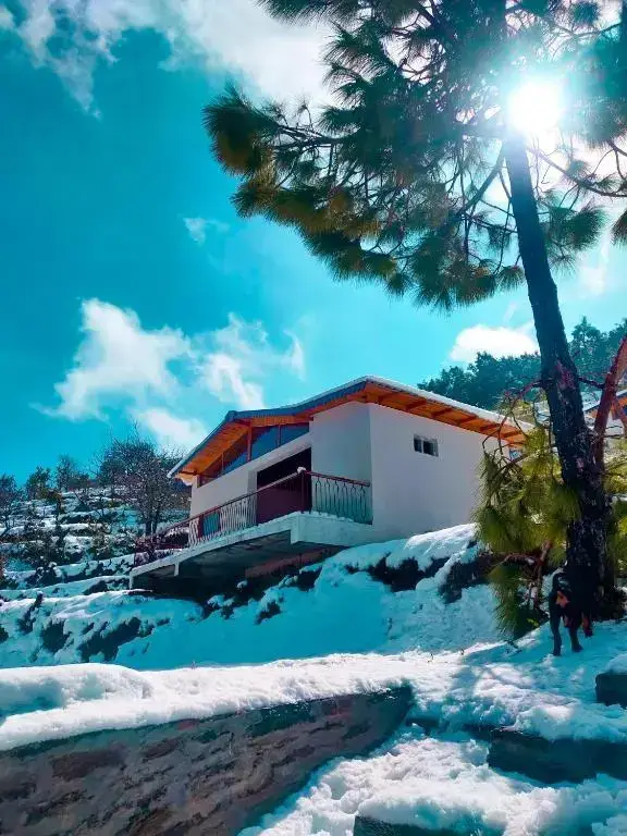 Сукха: Shivoham Himalayan Resort