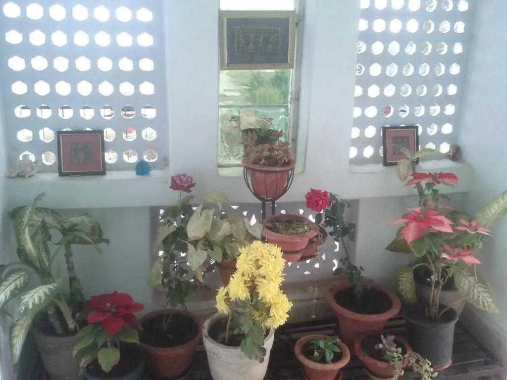 Бхопал: Jheelam Homestay