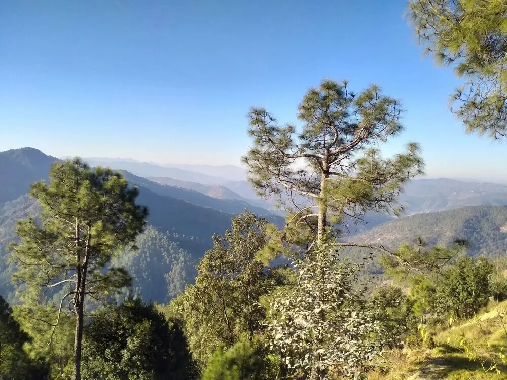 Альмора: Binsar View Homestay