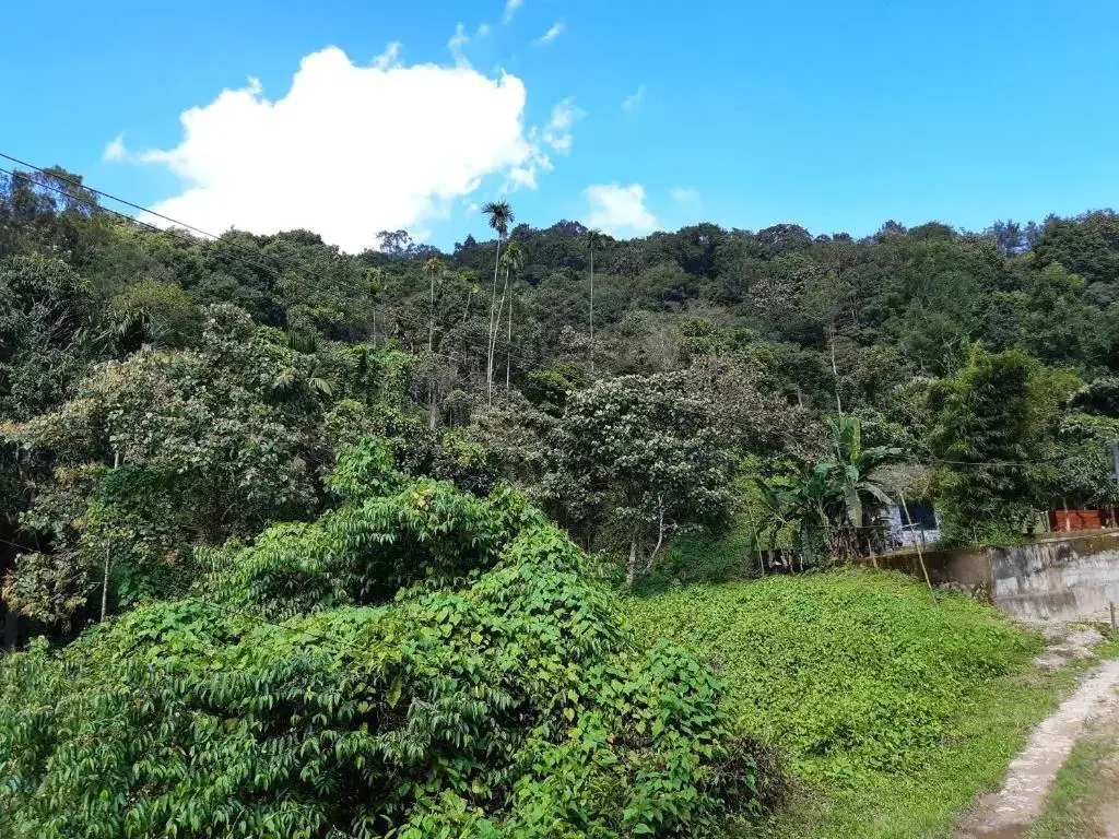 Султан-Батери: Mountain View Holiday Home ( a M Homestay)