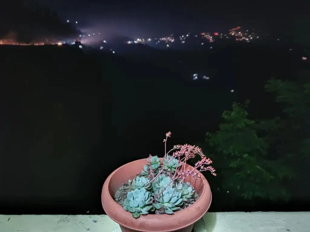 Куфри: Jeet home stay