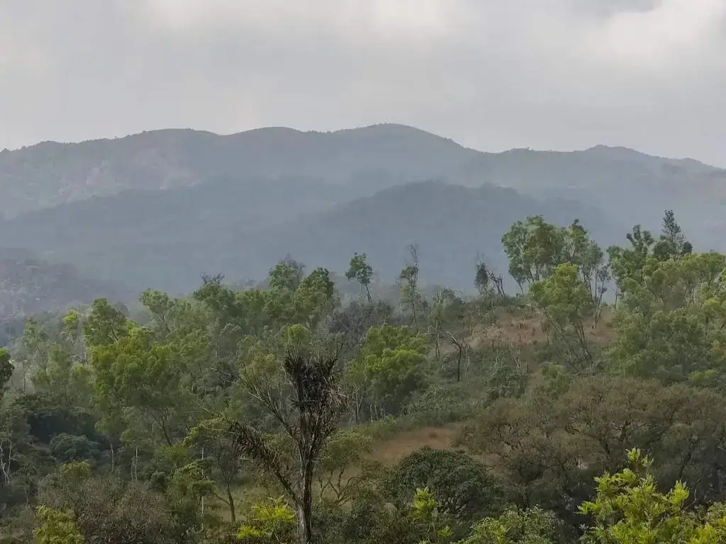 Jade Hills Coorg — фото 1