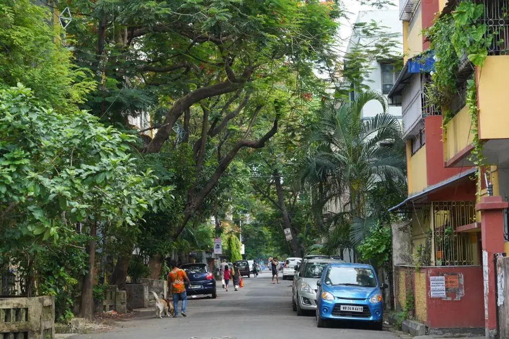 Casa Bala, Kolkata - Furnished 1 Bhk Apartment Near Gariahat, South Kolkata — фото 1