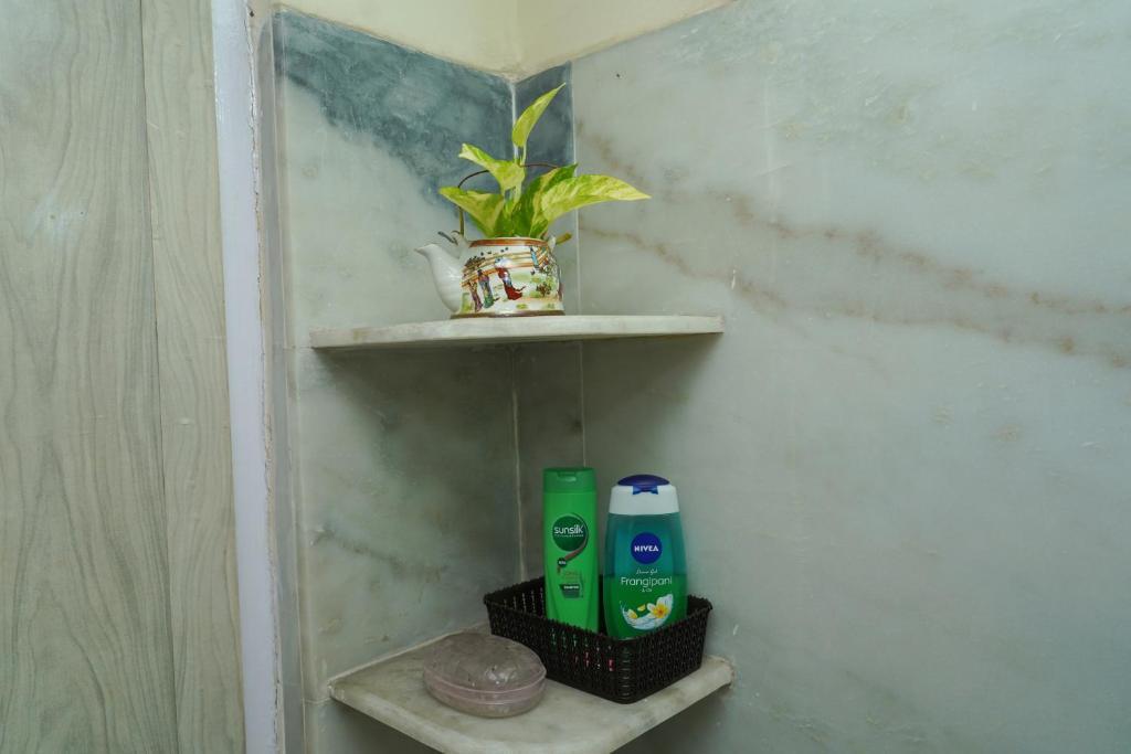 Колката: Casa Bala, Kolkata - Furnished 1 Bhk Apartment Near Gariahat, South Kolkata