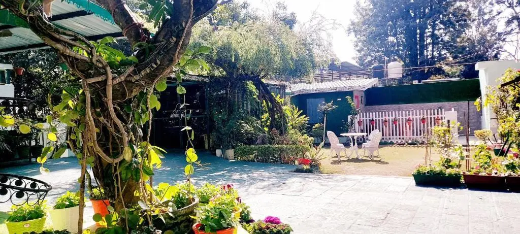 Olive Greens Homestay — фото 1