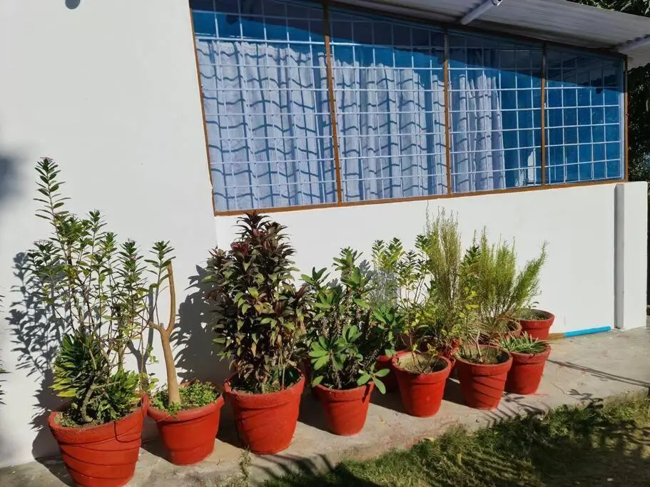 Дехрадун: Green Diamond Homestay