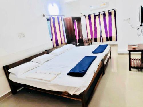 Luxury 2bhk House with backyard near baga beach — фото 1