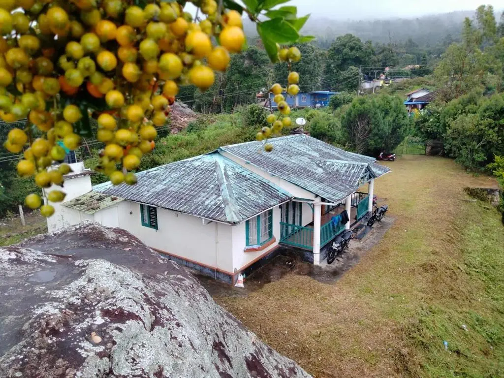 Green House Rock Home Stay — фото 1