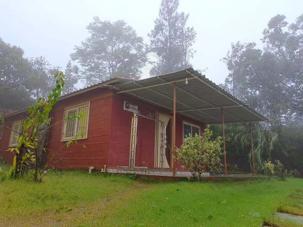 Shree villa banglow — фото 1