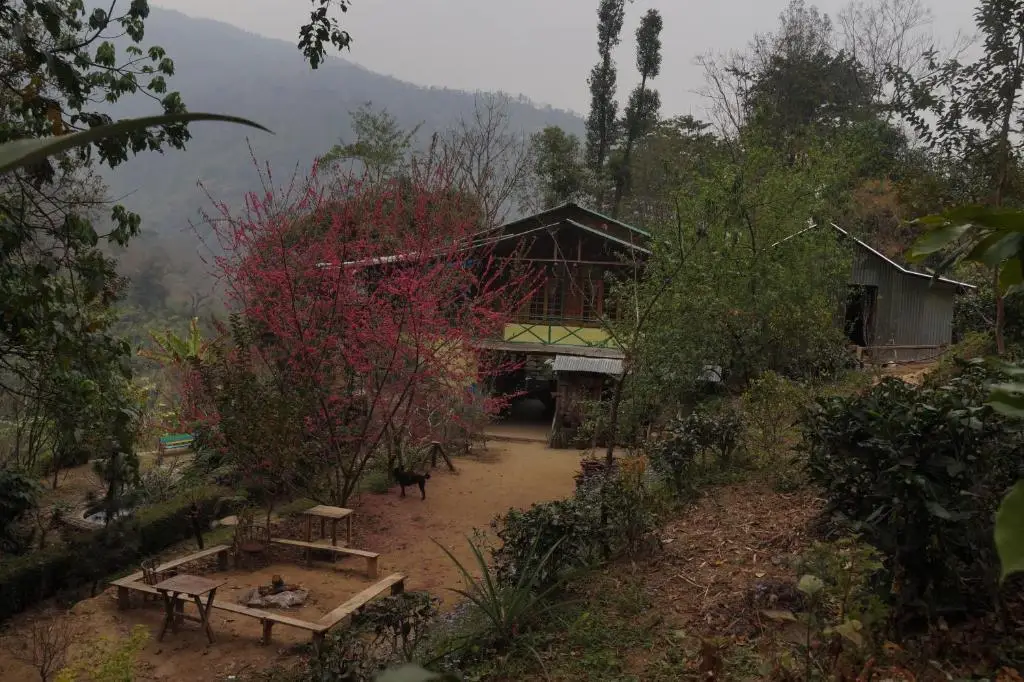 Пеллинг: Tathagata Farm