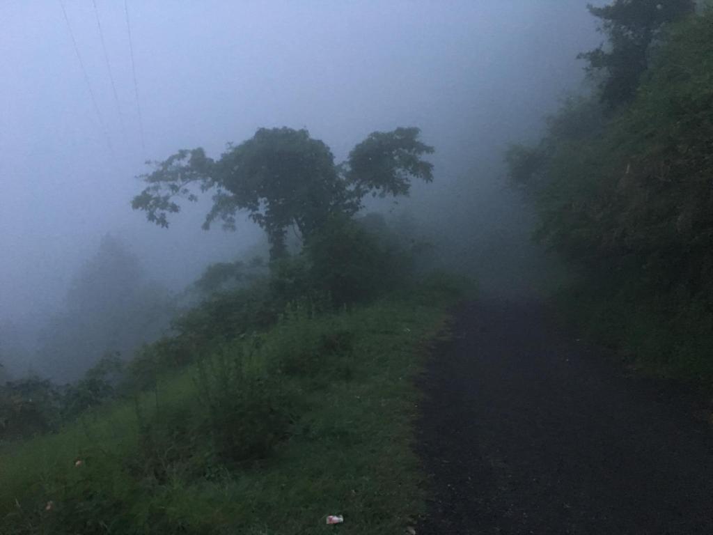 Наинитал: The Vergomont - A heritage home stay near nainital