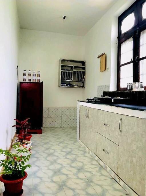 Saranga - An exquisite 2 bhk home in dharamshala — фото 1