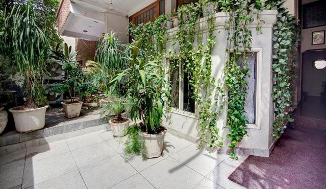 Нью-Дели: Nu Delhi Homestay