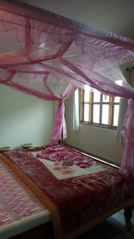 Импхал: John's Home