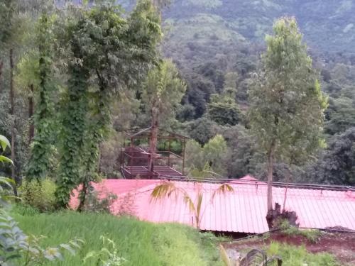Олд-Махабалешвар: Chardara Eco Agrotourism