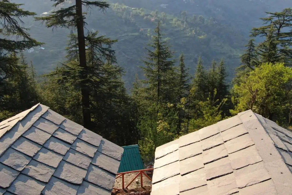 Forest Escape Cottages — фото 1