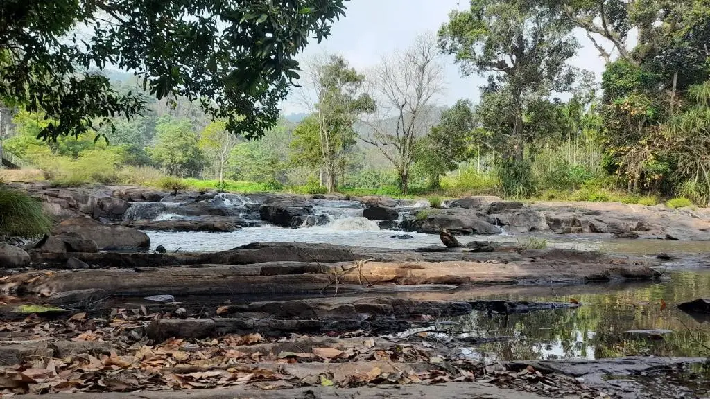 Nature river camp — фото 1