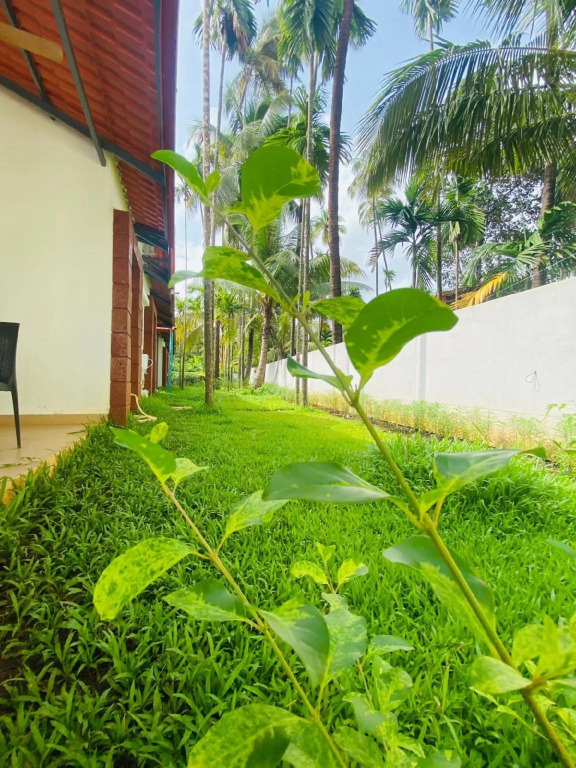 Киим: Ilif 2702 Butterfly Resort & Farms