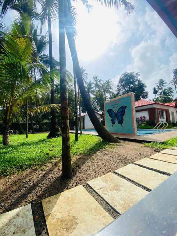 Киим: Ilif 2702 Butterfly Resort & Farms