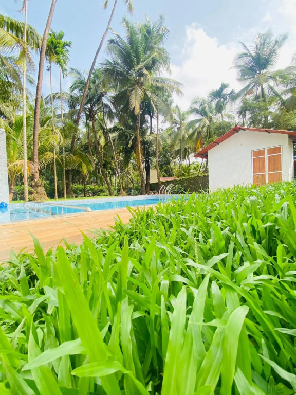 Киим: Ilif 2702 Butterfly Resort & Farms