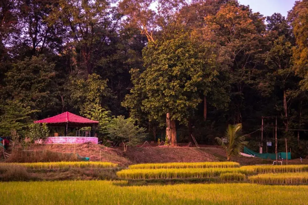 Лонда: Kali river side homestay