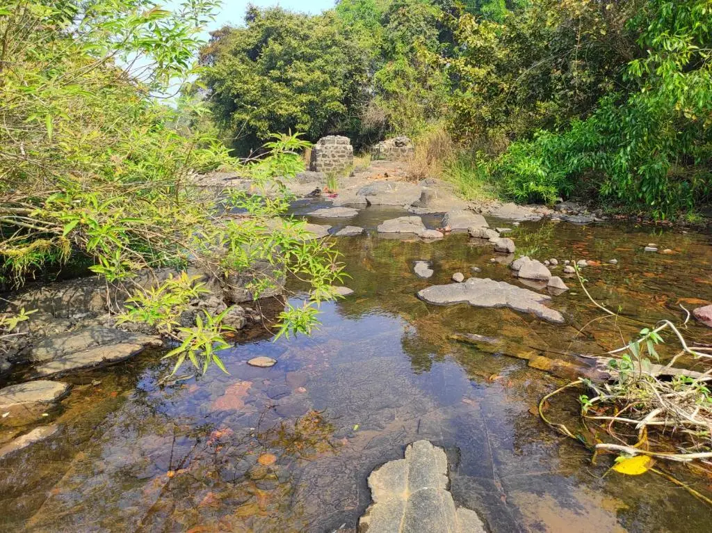 Киим: River Bird (Dalvi's Farm Tourism)