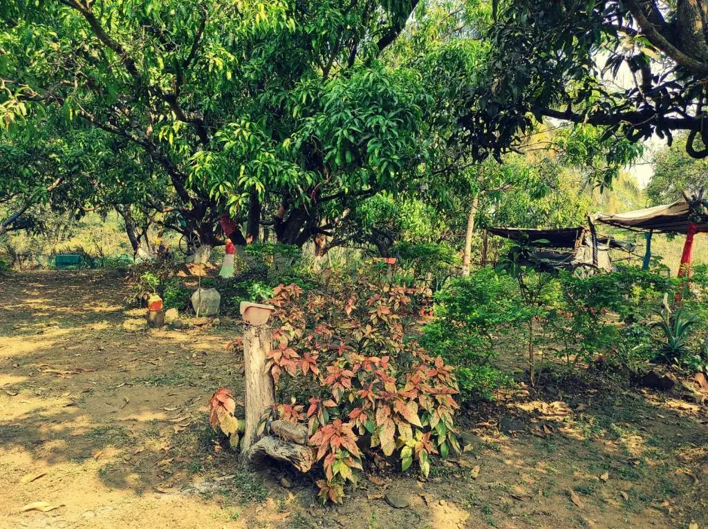 Киим: River Bird (Dalvi's Farm Tourism)