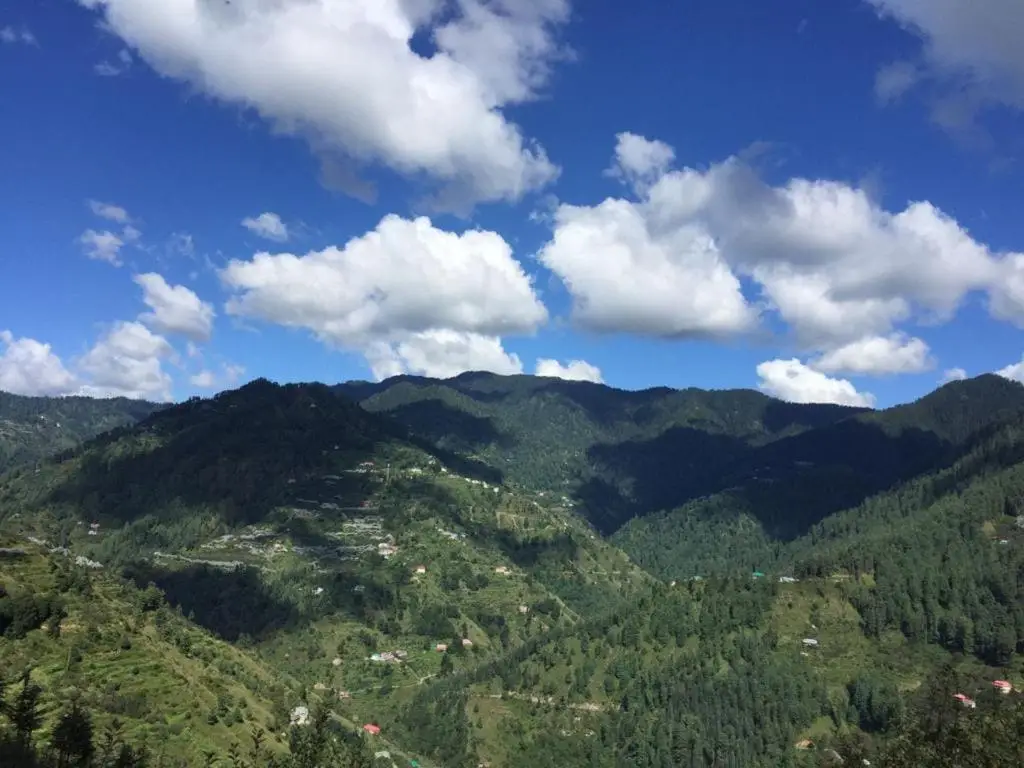 Куфри: Orchid hill
