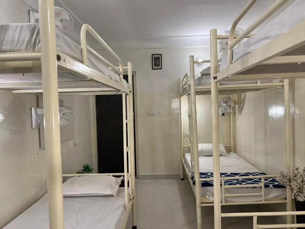 Джайпур: hostel ivory