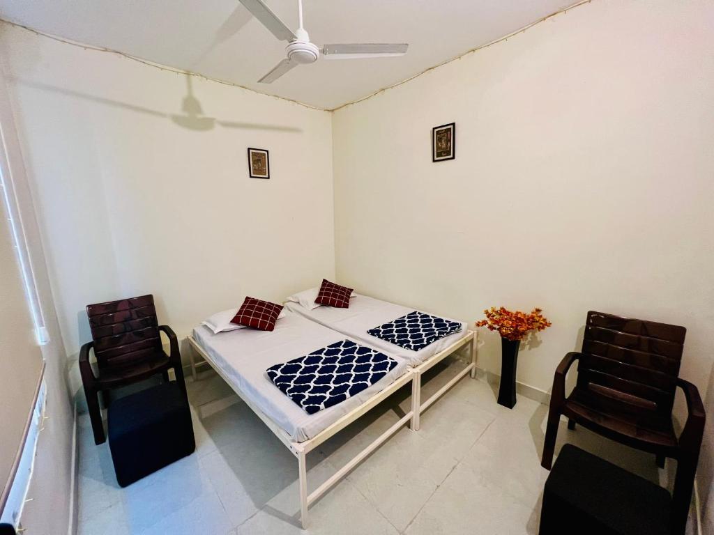 Джайпур: hostel ivory