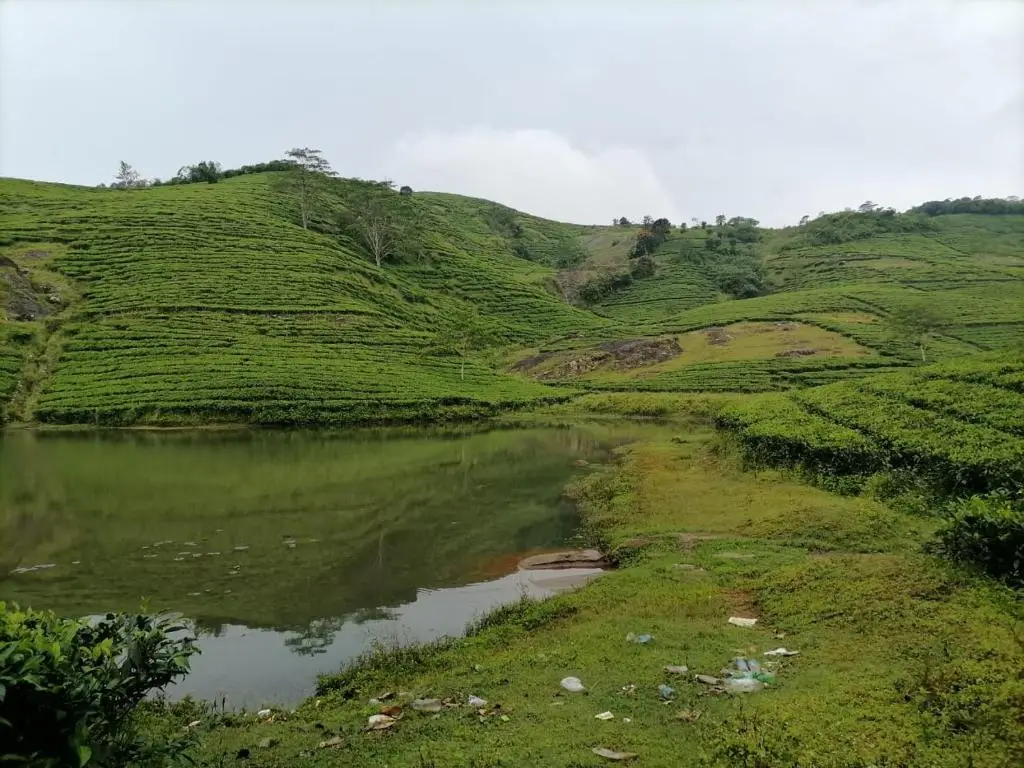 Куттикканам: Mist WOODS VAGAMON