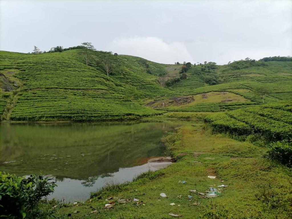 Куттикканам: Mist WOODS VAGAMON