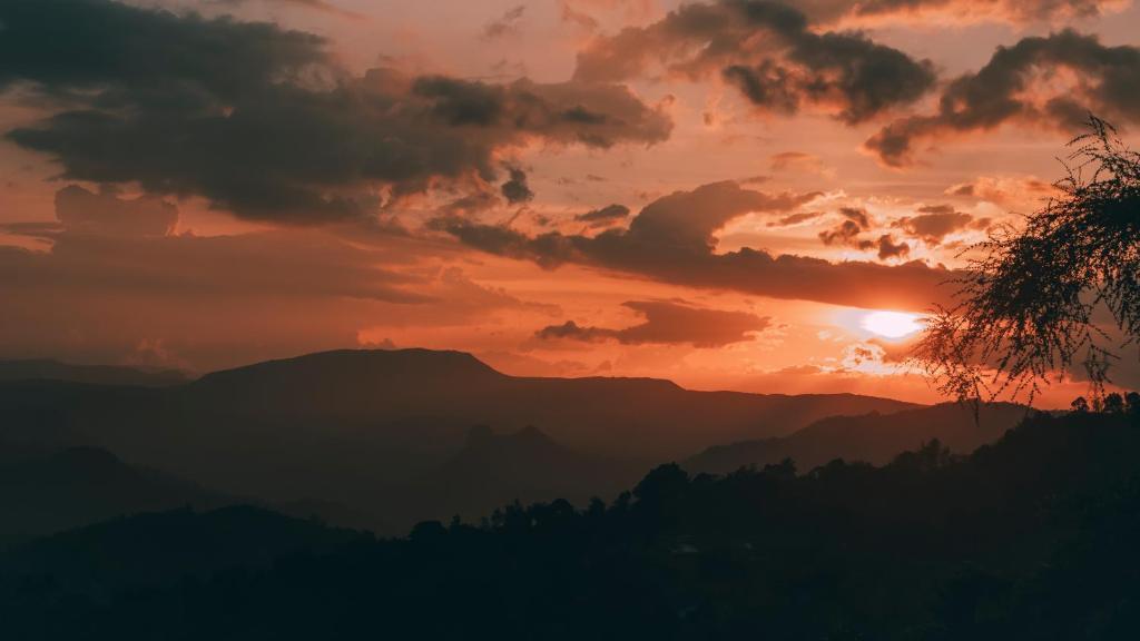 Муннар: Edens Munnar