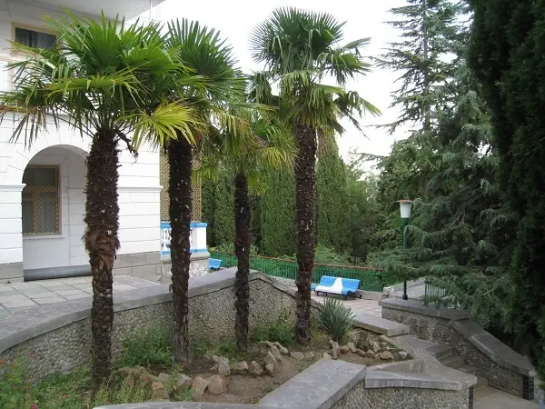 Алушта: Professorskiy Ugolok Sanatorium