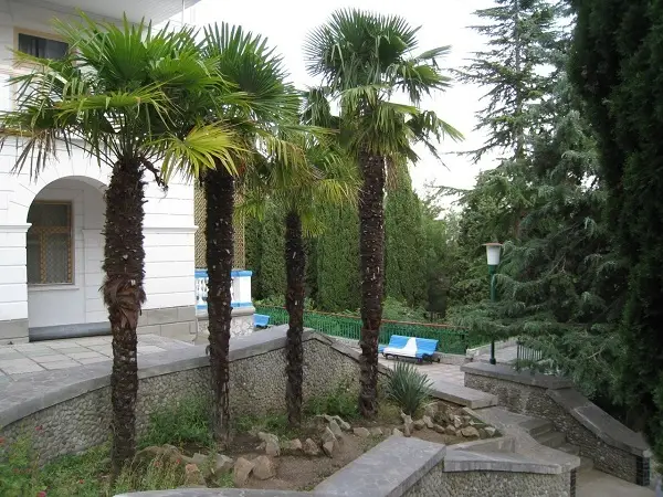 Алушта: Professorskiy Ugolok Sanatorium