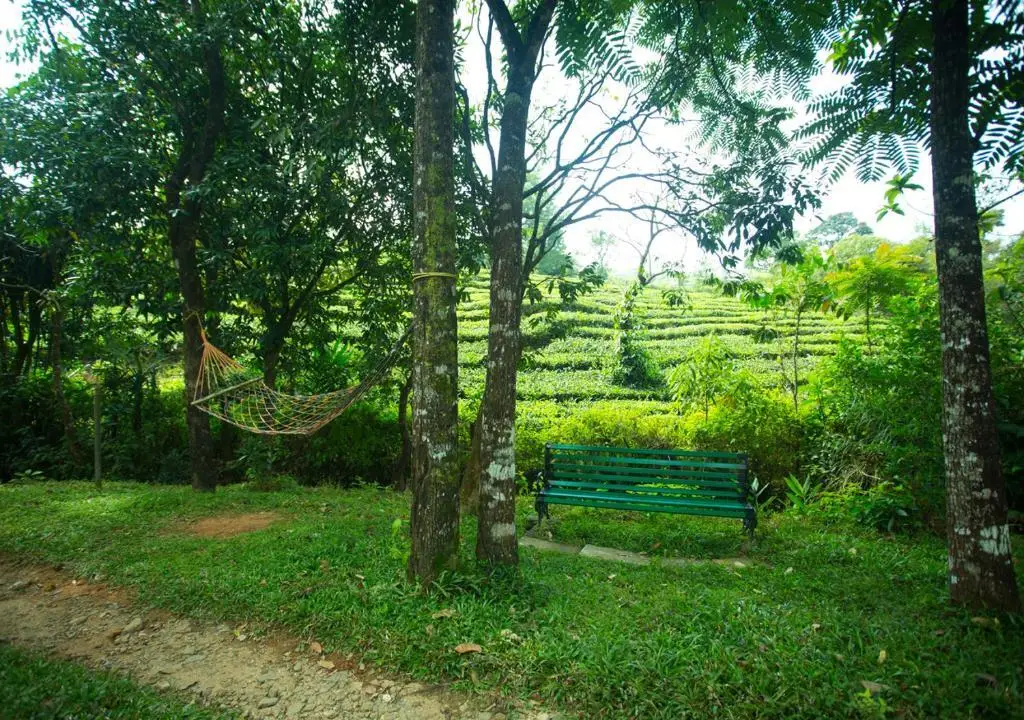 Alpine Vagamon Resort by VOYE HOMES — фото 1