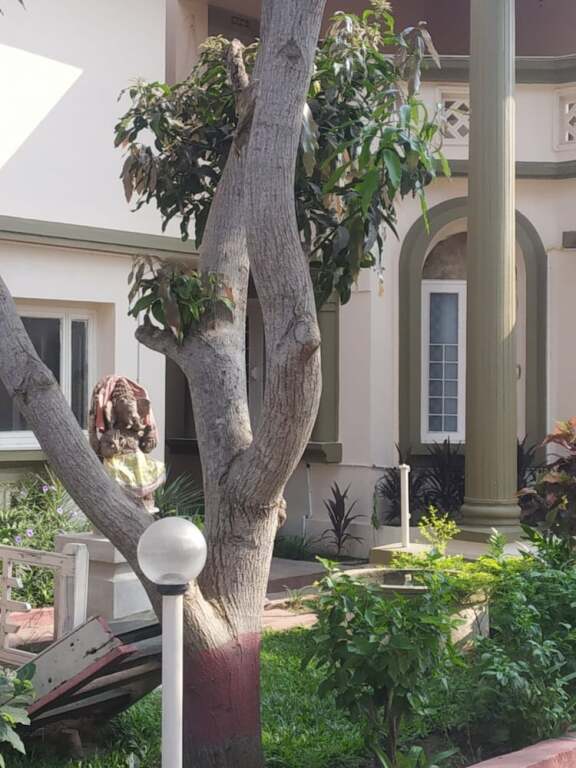 Chandan Resort — фото 1