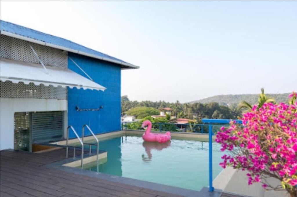 Кандолим: Candolim Suites