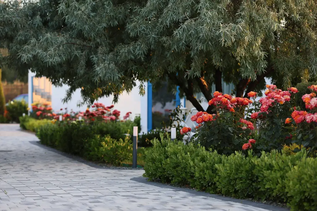 Феодосия: Отель Santorini