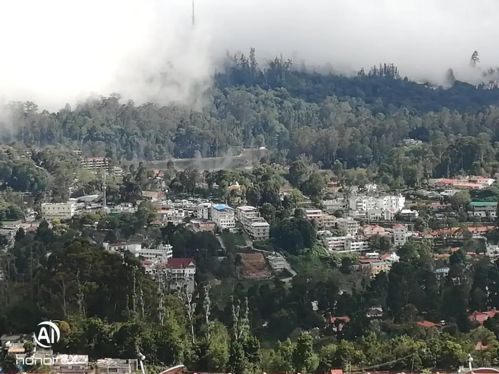 Кодайканал: Misty Mountain