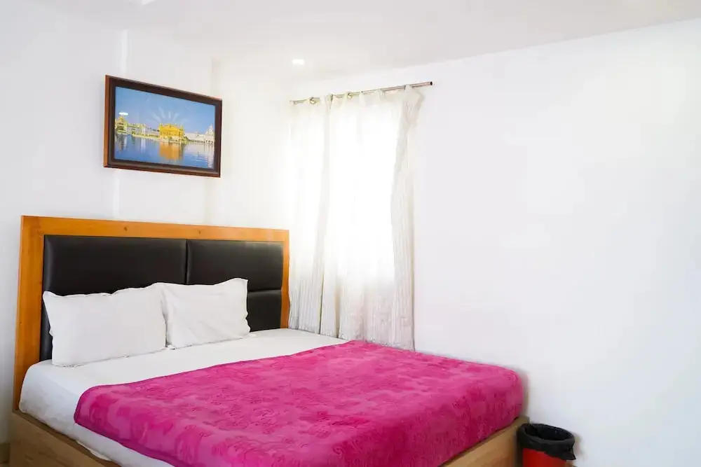 Нью-Дели: Roomshala 054 Hotel Mahal