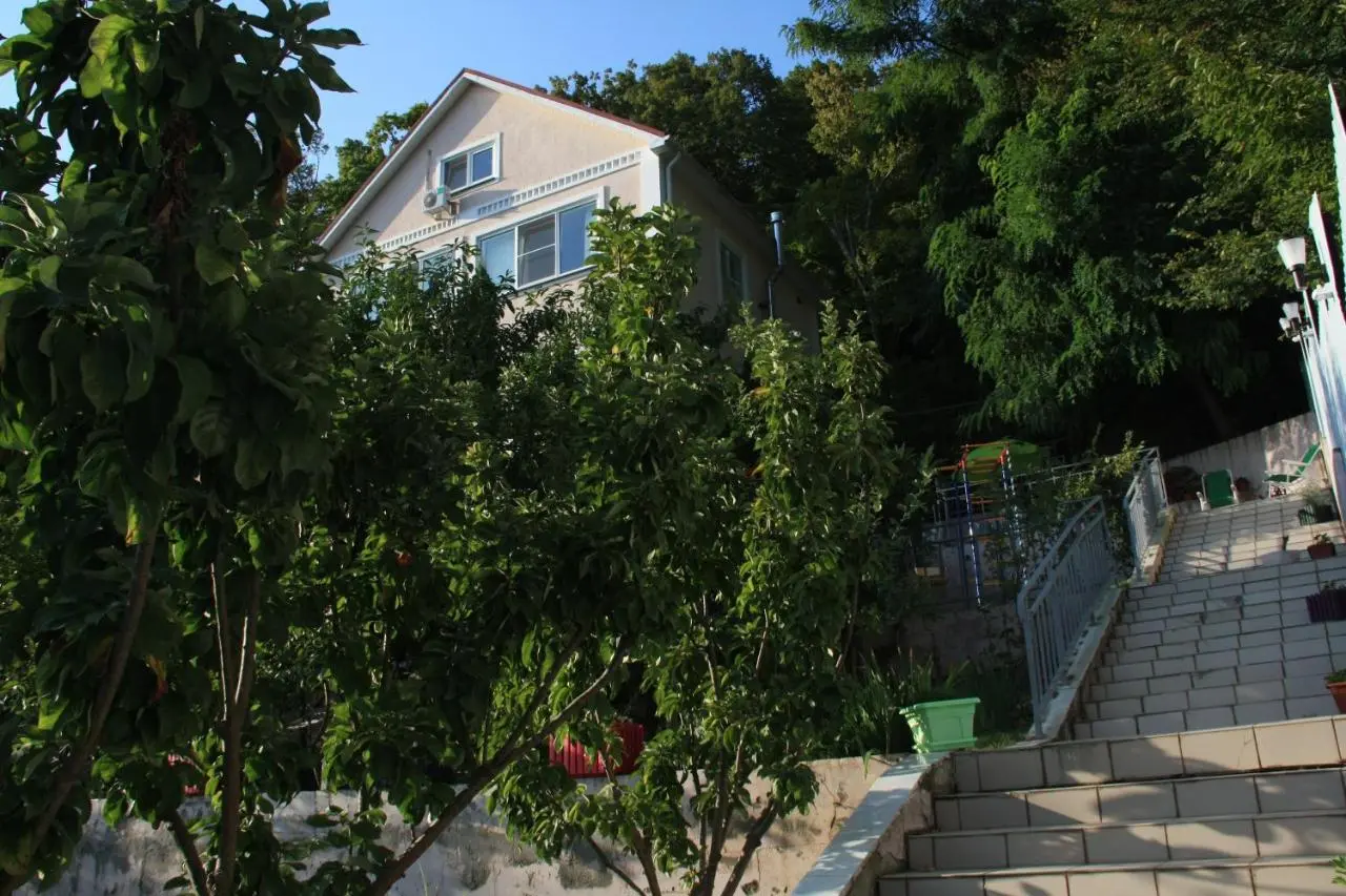 Ольгинка: Guesthouse Zelenaya Gora
