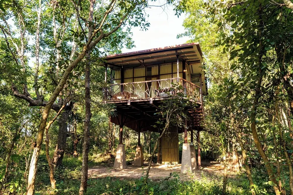 Kanha Jungle Camp — фото 1