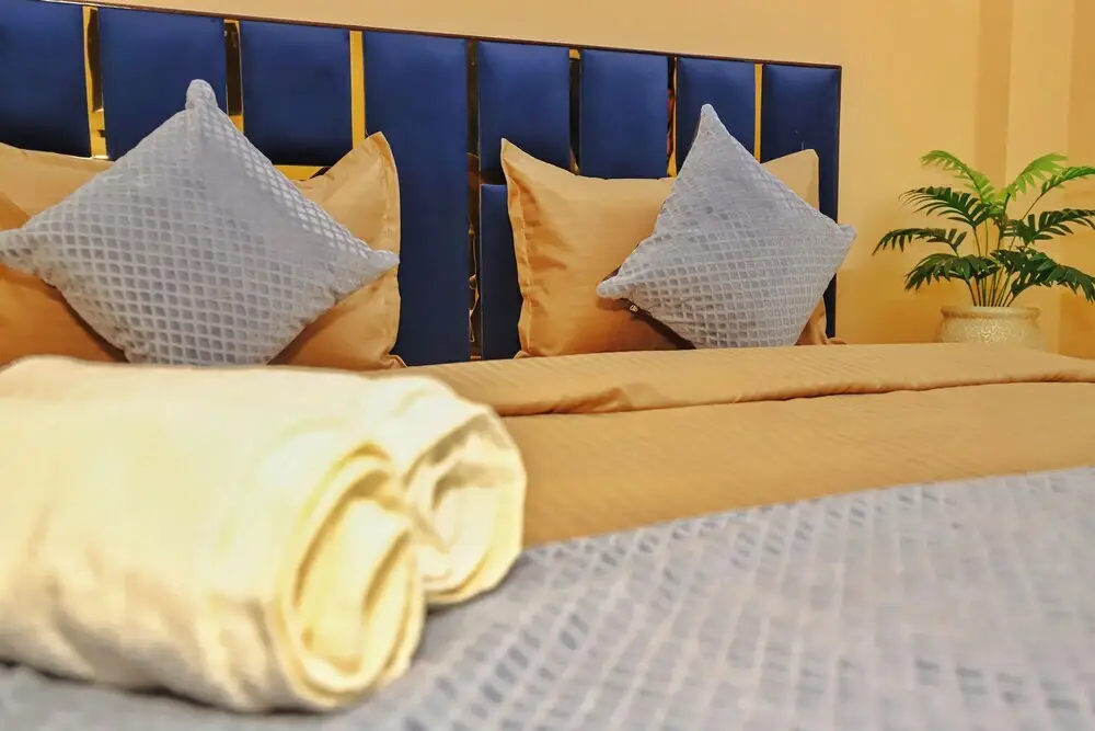 Нойда: Roomshala 035 Premium Inn Noida Sec 15