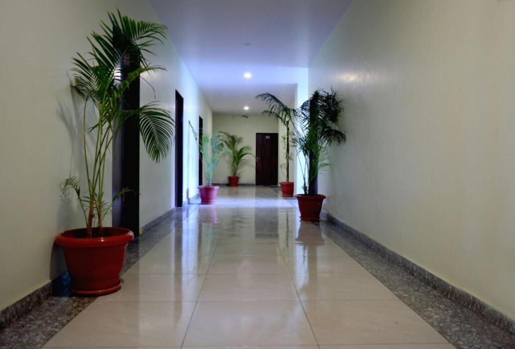 Джайпур: Oyo 6697 Hotel Green Lemon